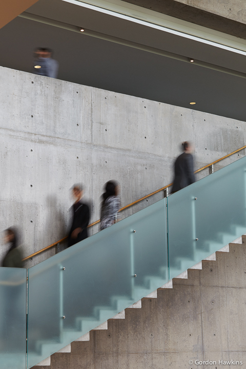 Toronto Corporate, Education, finance, York University, Schulich, Gordon Hawkins Photographer, Corporate photography, Corporate Headshots, Annual Reports